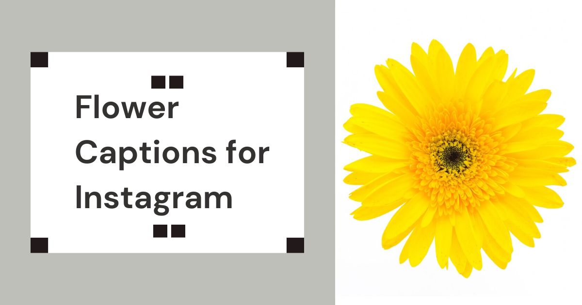 Flower Captions for Instagram