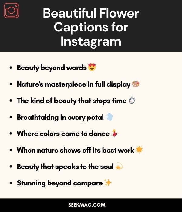 Beautiful Flower Captions for Instagram