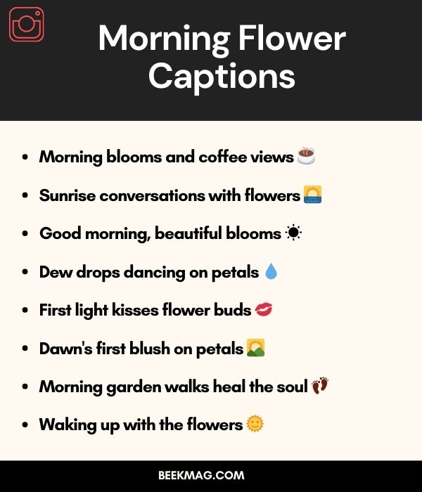 Morning Flower Captions