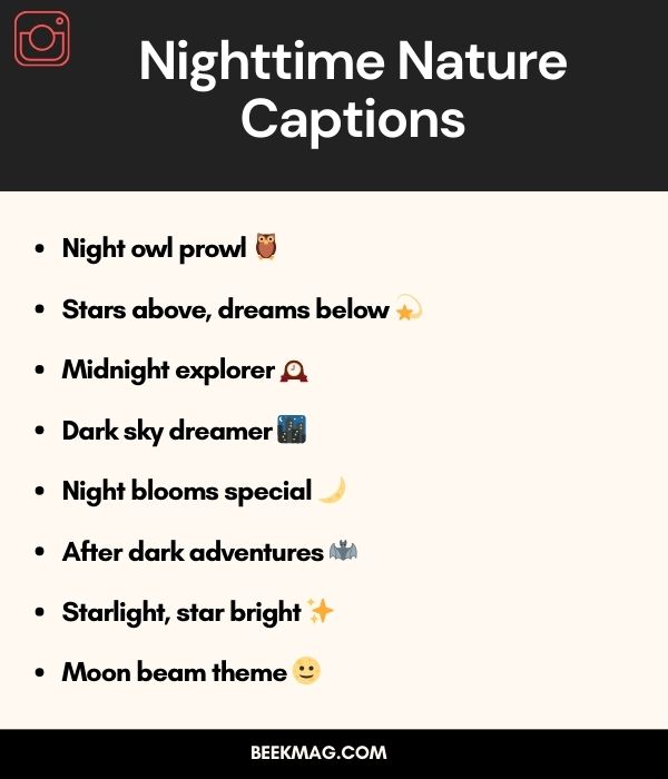 Nighttime Nature Captions