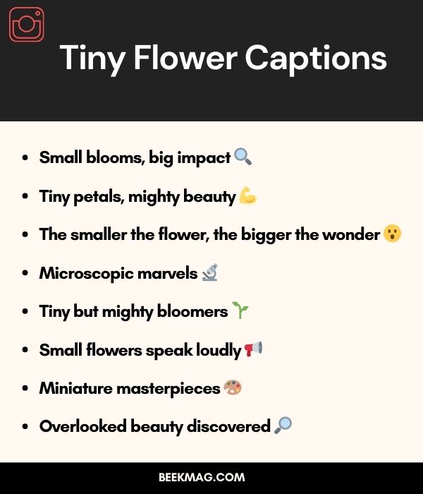 Tiny Flower Captions 