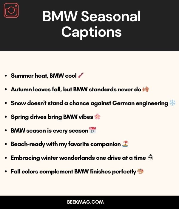 BMW Seasonal Captions
